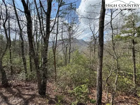 Land in Oconee Falls