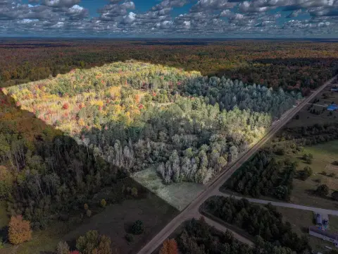 40-Acre Hunting Land