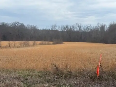 Pasture Land in Toone, TN
