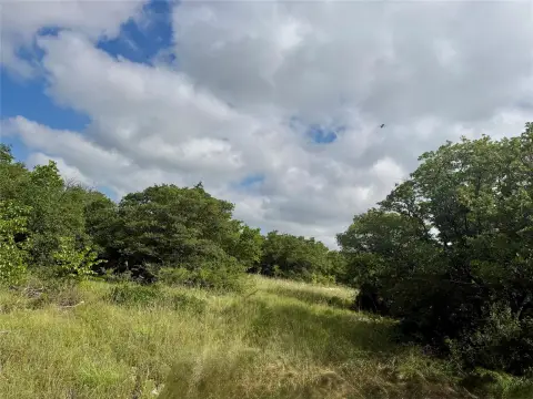 Hilltop Hunting and Homesite Land