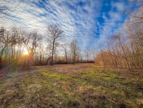 Black Warrior Riverfront Land Opportunity