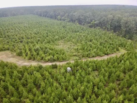 32.86 Acres Hunting/Recreation Land