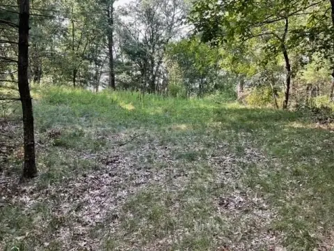 Wooded Lot Near Lake Petenwell