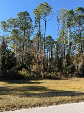 Wooded Lot Near Cedar Key