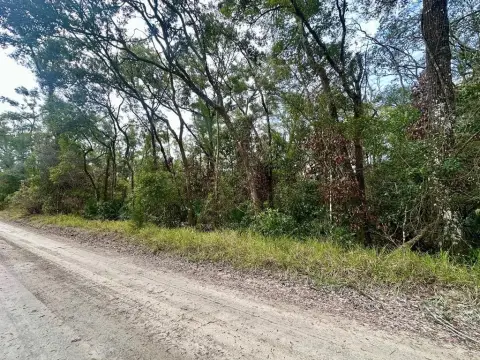 Wooded Parcel Near Suwannee River