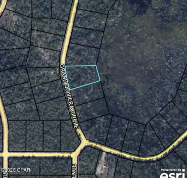 Wooded Lot in Compass Lake