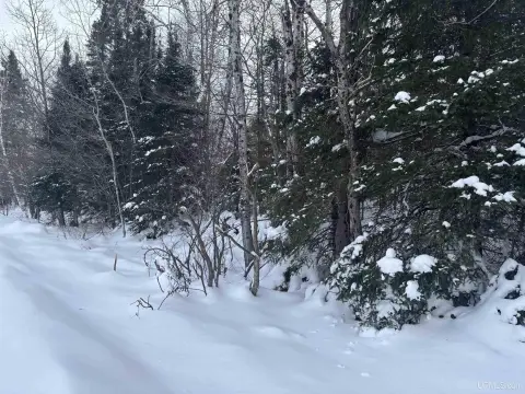 Humboldt Township Land Parcel