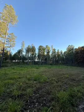 7.2 Acres Wooded Land