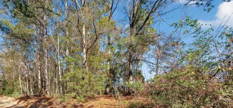Wooded Lot Near Aiken, SC