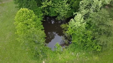 Princeton, KY Hunting Land
