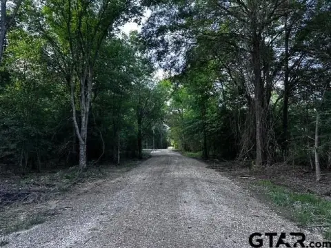 Wooded Acreage in Van, TX