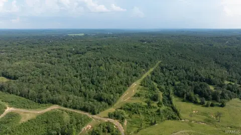 Wooded Hunting Land