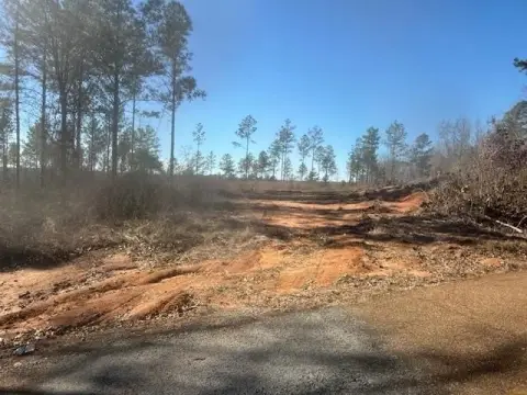 Bolivar, TN Land with Financing