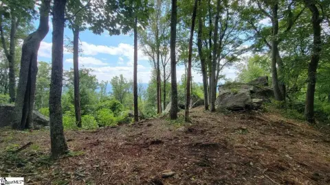 Landrum, SC Residential Homesite