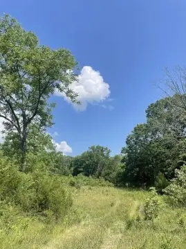 Recreational Acreage with Ponds