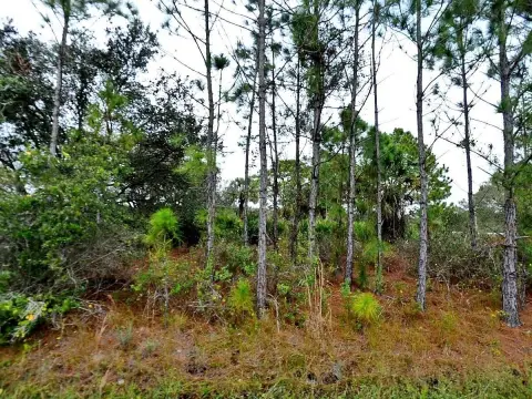 Residential Land in North Port