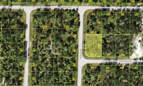 Port Charlotte Land Investment Opportunity