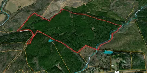 Timber and Hunting Tract Land