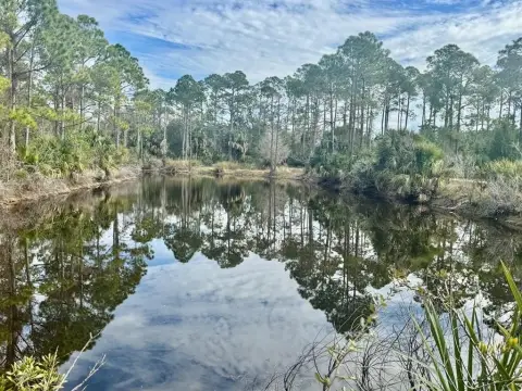 Residential Lot Near Cedar Key