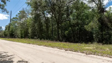 Wooded Residential Lot in University Estates