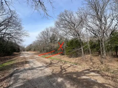 Wooded Lot in Mabank, TX