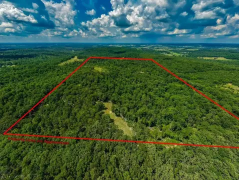 Fenced Hunting Tract with Timber