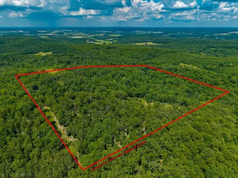 Secluded Hunting Land Tract