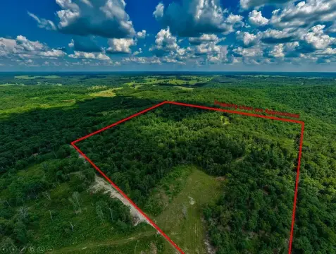 Hunting Land with Timber and Clearing