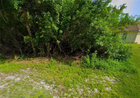 Residential Vacant Land in North Port