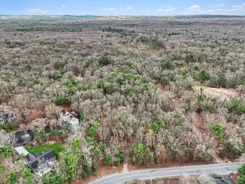 Wooded Land Near Pentwater Lake