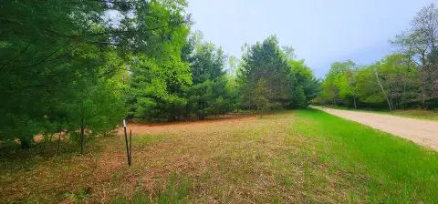 Manistee Land with Forest Access