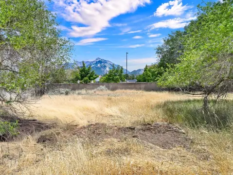 Agricultural Residential Acreage Lot