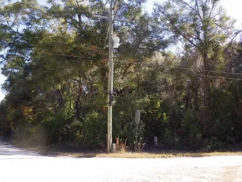 Vacant Land Near Freshwater Springs