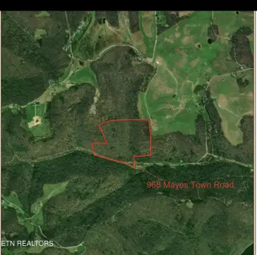 Wooded Recreation Land