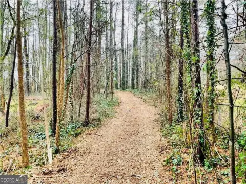Residential Land in Austell, Georgia