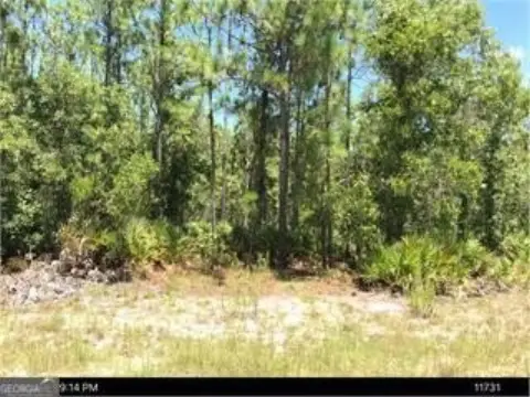 Blackshear, GA Land For Sale