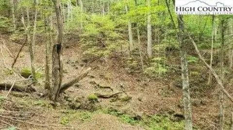 Secluded 1.38 Acre Lot