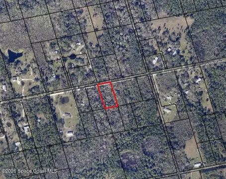 Mims, FL Wooded Lot