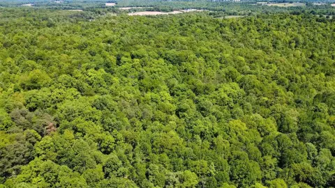 40 Acres Hunting and Recreation