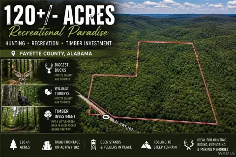 Wooded Hunting Land