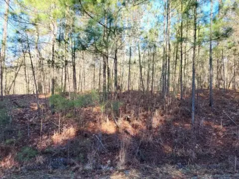 Residential Land in Salem, SC