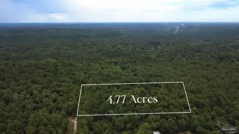 Wooded Hunting Land