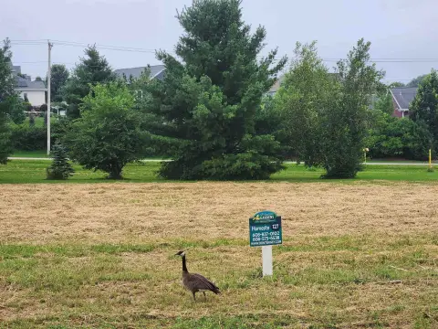 Sun Prairie Land Parcel