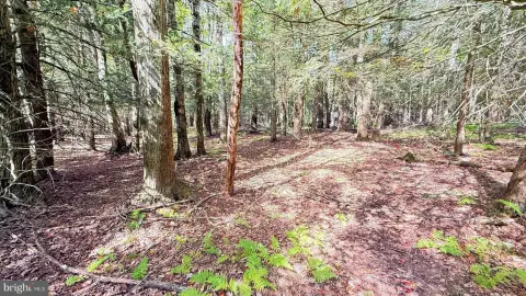 Lake Ariel Residential Lot