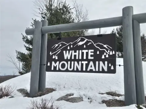 Boyne City Wooded Residential Lot