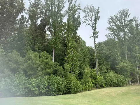 Bartlett Land Parcels For Sale