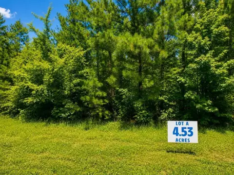 Wooded Homesite with Road Frontage