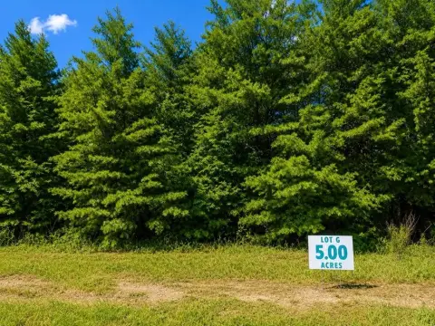 Wooded Residential Land Lot