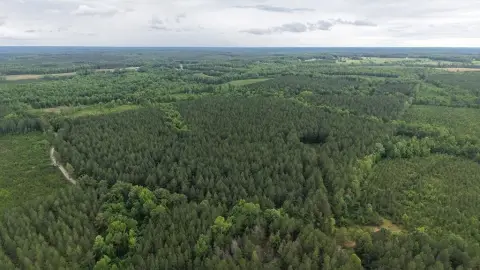 Timberland and Recreation Tract