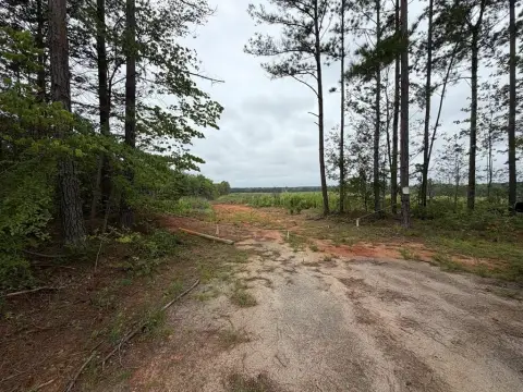Waterfront Hunting Land